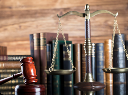 Constitutional Lawyer